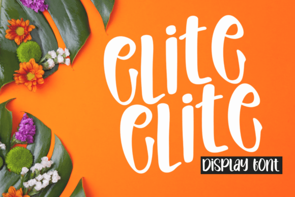 Elite: A Timeless Display Font for Modern Editorial Design