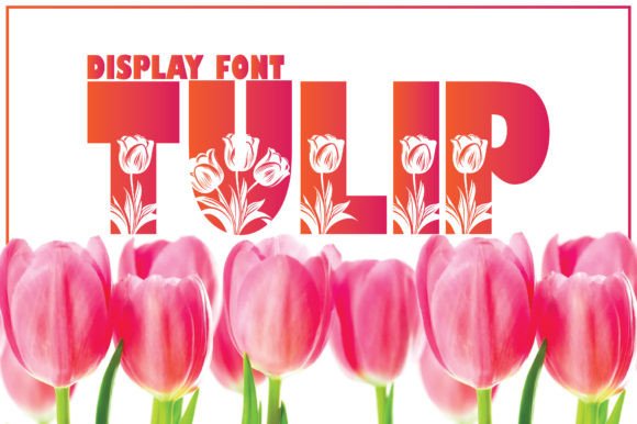 Tulip: A Unique Display Font for Editorial Design